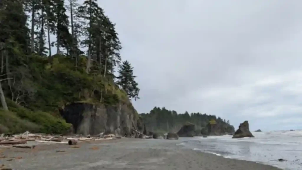 Olympic National Park