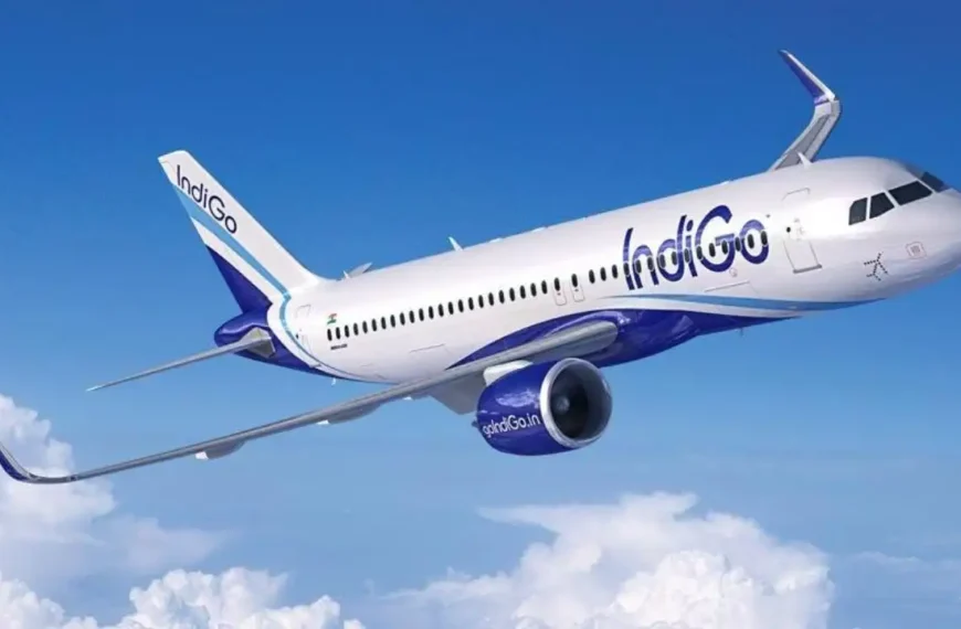 IndiGo