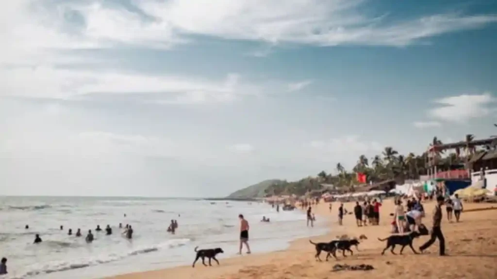 Goa Tourists Face Fines