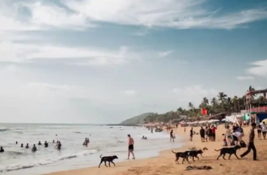 Goa Tourists Face Fines