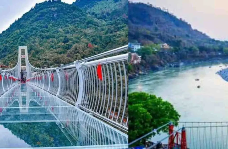 rishikesh bajrang setu
